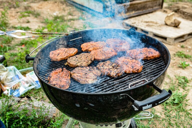 Weber ou Napoleon quelle marque choisir pour un barbecue à charbon?
